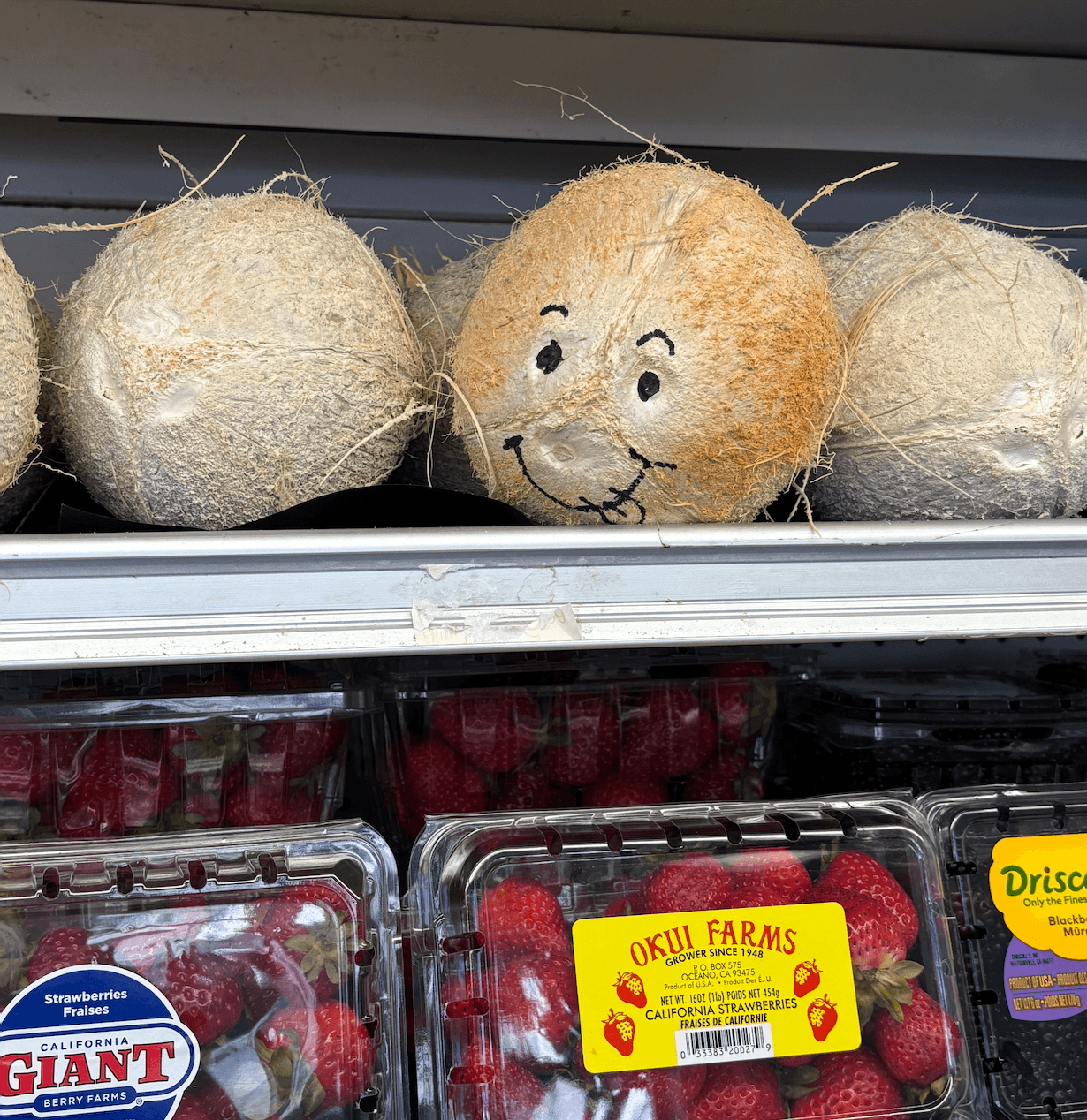cute coconut i saw today