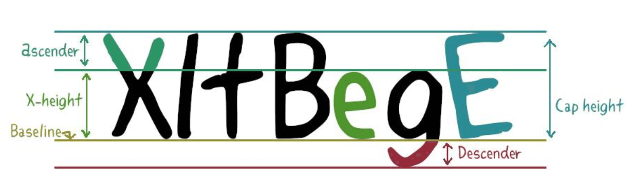 Anatomy of a typeface